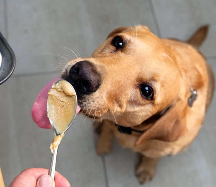 peanuts for dogs