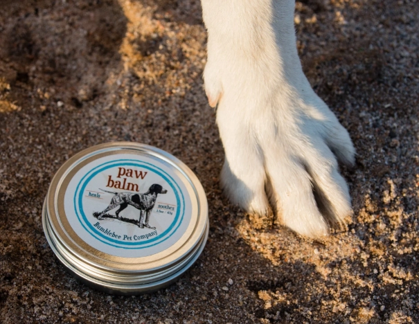 Dry dog paws home remedies