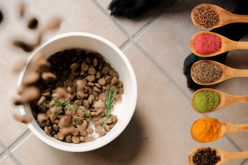 dog safe seasonings dog safe seasonings