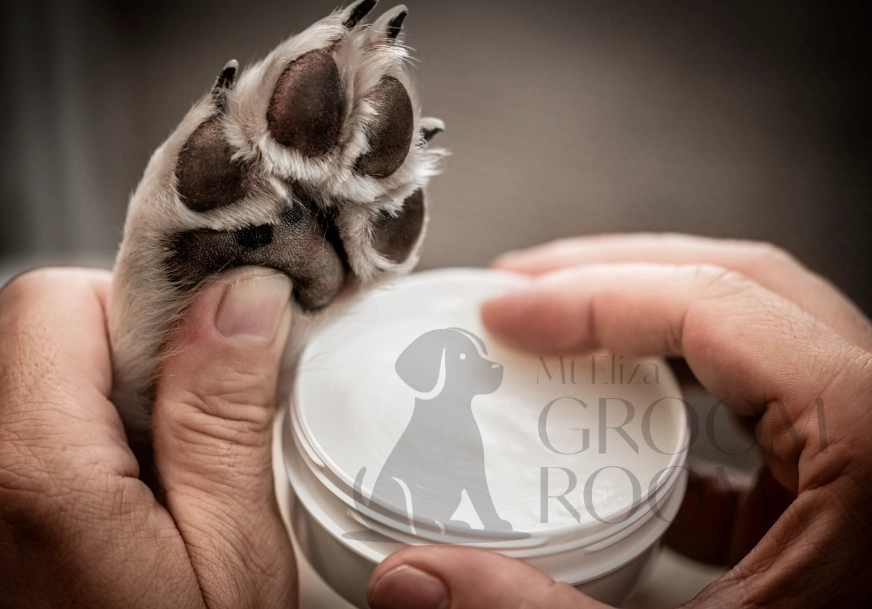 dog paw balm dog paw balm