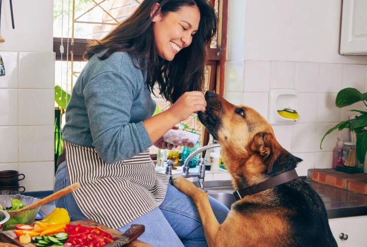dog dental herbs